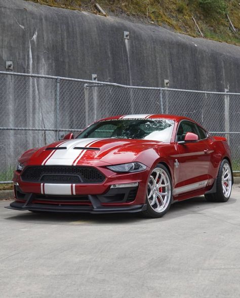 Bad-ass Ford Mustang Shelby Super Snake Ford Mustang Super Snake, Mustang Reference, Mustang Super Snake, Shelby Gt500 Super Snake, Shelby Super Snake, Mustang S197, Mustang 2018, Red Mustang, Ford Mustang Shelby Gt