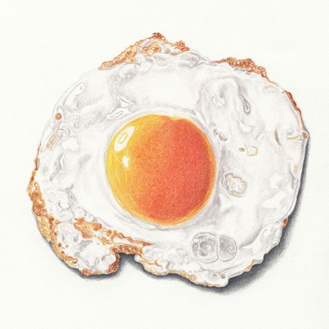 Fried Egg Breakfast Food Drawing by Artist John Gordon (2015, colored pencil) Boiled Egg Drawing, Eggs Illustration Drawing, Eggs And Bacon Drawing, Egg Dishes Drawing, Watercolor Fried Egg, Healthy Breakfast Quiche, Protein Smoothie Recipes Healthy, Fried Egg Breakfast, Smoothie Recipes Healthy Breakfast