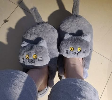 Cat slippers, socks, cozy, winter Cat Hugging, Cat Slippers, Cat Hug, Soft Cat, Grey Cat, Grey Cats, A Cup Of Coffee, Comforters Cozy, Christmas Sale