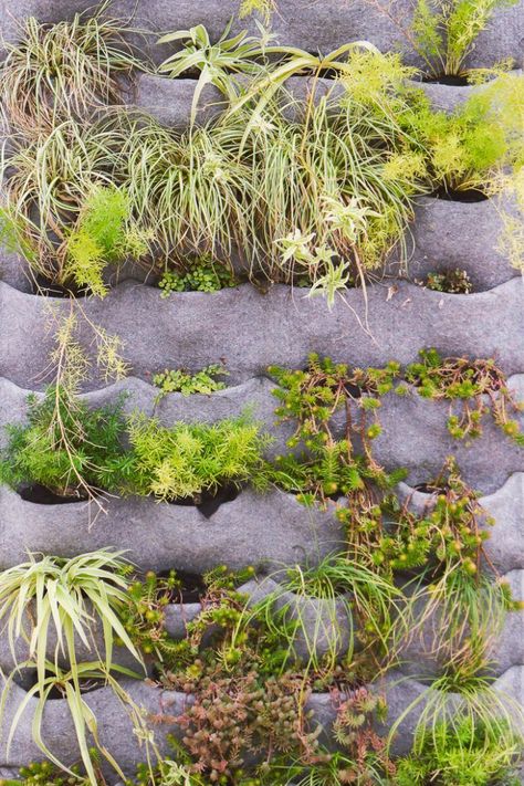 I love these creative DIY vertical garden ideas. Whether you want to use pallets, create a freestanding vertical garden or build a wall, there are lots of ways to create an outdoor vertical garden. #fromhousetohome #verticalgarden #diyoutdoorprojects Ideas For Small Gardens, Diy Vertical Garden, Vertical Container Gardening, Garden Puns, Vertical Garden Wall Planter, Vertical Pallet Garden, Vertical Garden Ideas, Vertical Succulent Gardens, Garden Nails