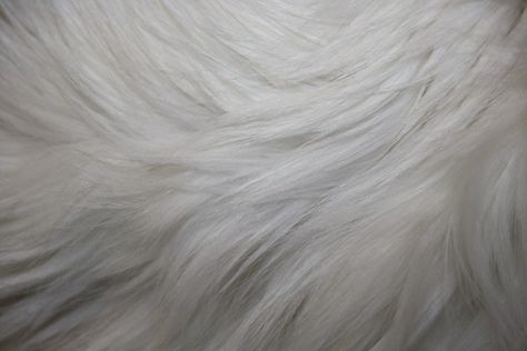 Blanco textura de la piel - Resolución de alta Foto Fur Wallpaper, Fur Aesthetic, Popular Wedding Dresses, Bridal Shrug, Fur Texture, Free High Resolution Photos, Silver The Hedgehog, Free Photographs, Fur Fabric