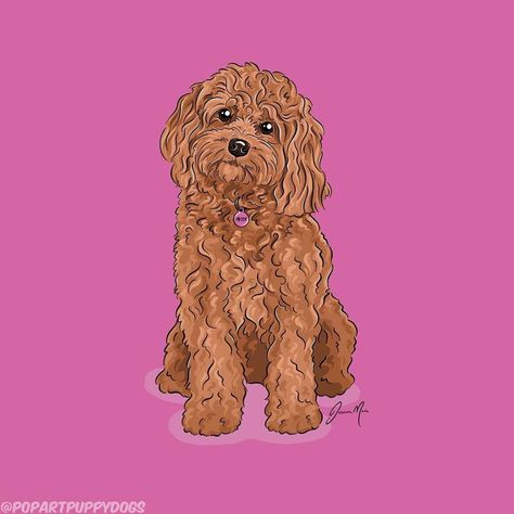 Cavapoo Line Drawing, Cavapoo Cartoon Drawing, Cavapoo Drawing Easy, Cockapoo Cartoon, Cavapoo Drawing, Cavapoo Illustration, Poodle Quotes, Dogs Tattoos, Dogs Painting