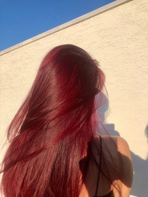 Pin by larys on hair Blood red hair, Red hair without bleach, Red Red Maroon Hair Burgundy, Intense Cherry Red Hair, Wine Red Hair Aesthetic, Red Cherry Hair Color, Long Red Hair Aesthetic, Cherry Red Hair Aesthetic, Warm Red Hair Color, Cherry Red Hair With Blonde Highlights, All Red Hair