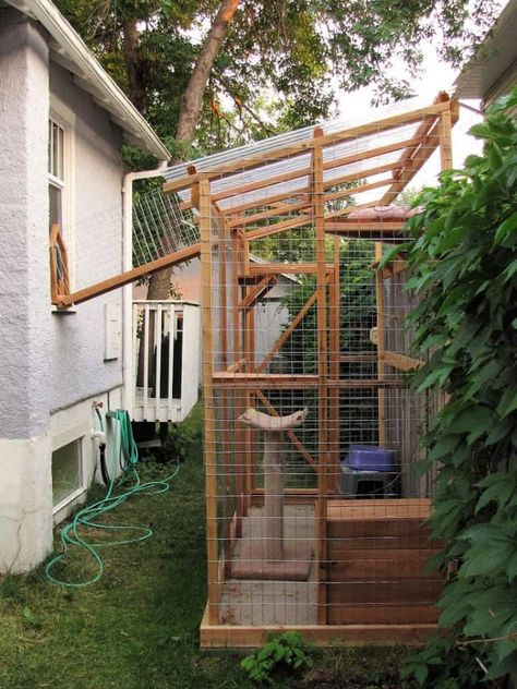 30 Free DIY Catio Plans - DIY Outdoor Cat Enclosure Reban Ayam, Outside Cat Enclosure, Catio Plans, Diy Cat Enclosure, Cat House Plans, Cat Playground Outdoor, Feral Cat House, Cat Area, Cat Patio