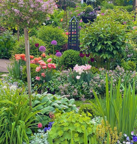 Chip on Instagram: “Late May lushness. 🌷💚🌳🌸 🌿#chipsgardens #topairytuesday #boxwood #tulips🌷 #tulips #alliums #formalgarden #citygarden #myottawa #newedinburgh…” Allium And Tulip Garden, Backyard Gardens, Tulip Garden, Cottage Garden Design, Formal Garden, City Garden, Garden Lovers, Garden View, Green Thumb