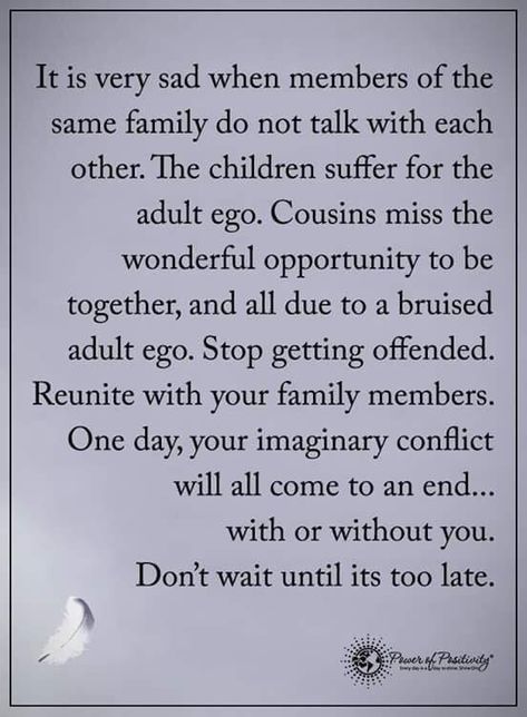 It is very sad when members of the same family do not talk with each other. The children suffer for the adult ego. Cousins miss the wonderful opportunity to be together, and all due to a bruised adult ego. Stop getting offended. Reunite with your family members. Onday, your imaginary conflict will all come to an end... with or without you. Don't wait until its too late. #powerofpositivity #positivewords #positivethinking #inspirationalquote #motivationalquotes #quotes Family Together Quotes, Blended Family Quotes, Toxic Family Quotes, Niece Quotes, Together Quotes, Quotes Family, Love Mom Quotes, Daughter Love Quotes, Son Quotes