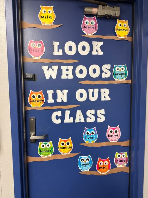 Owl Doors, Owl Classroom Door, Owl Door, Owl Classroom, Door Name, Classroom Bulletin Boards, Team Board, Classroom Door, Classroom Crafts