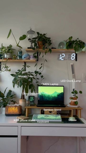 Desk Plant Shelf, Cute Cubicle Desk Ideas, Desk Top Decor Ideas, Calming Desk Decor, Shelf Decor Desk, Plant Desk Aesthetic, Cubicle Setup, Desk Area Decor, Above Desk Decor