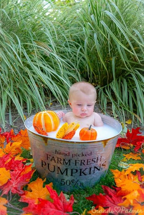 Fall Baby Photos, Baby Milk Bath, Duck Photography, Milk Bath Photos, Bath Tea Bags, Milk Bath Maternity, Milk Bath Photography, Oh My Gourd, Bath Photography