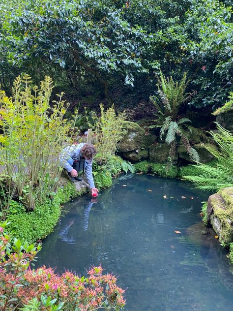 Stone Illustration, Pond Photography, Clear Pond, Pond Dipping, Artistic Ideas, Pond Landscaping, People Dancing, Creative Stuff, Holding Flowers