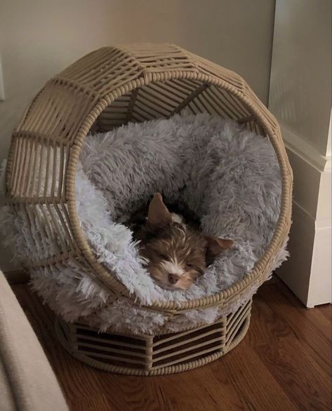 🐱Pet-Beds for your cats&dogs.🐶 They will love it🐾❤️. Make to order 5day making time. Delivey all Pakistan available Cat Love Aesthetic, Diy Cat Shelves, Cat Room Decor, Cozy Reading Chair, Cat Climbing Wall, Pfp Cat, Cat Standing, Black Cat Aesthetic, Modern Cat Tree