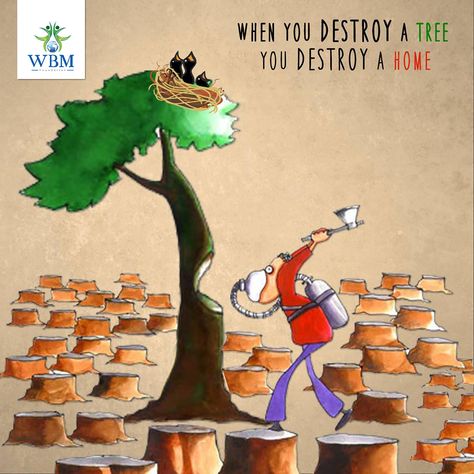 When you destroy a tree, you destroy a home.  Save the natural habitat of the animals. Save trees http://wbmfoundation.org/ Deforestation Poster, World Environment Day Posters, Mickey Drawing, Forest Quotes, Earth Day Drawing, Funny Animal Images, Powerful Pictures, Save Trees, World Environment Day