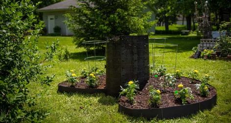 Keyhole Garden, Healthy Fruits And Vegetables, Healthy Fruits, Garden Layout, The Basics, Fruits And Vegetables, Simple Way, Soil, To Create