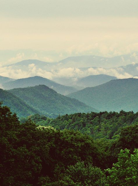 Nature Mountains Landscape, West Virginia Mountains Tattoo, Appalachian Mountains Aesthetic, West Virginia Aesthetic, Picture Of Mountains, West Virginia Tattoo, Wv Mountains, Country Mountains, West Virginia Mountains