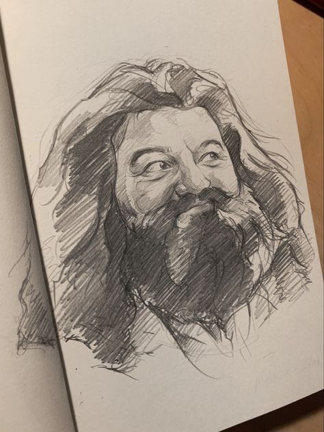 Hagrid Sketch, Hagrid Drawing, Harry Potter Art Sketches, Hogwarts Sketch, Hogwarts Drawing, Hp Drawings, Drawing Harry Potter, Harry Potter Portraits, Harry Potter Sketch