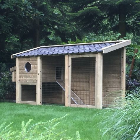 Small Backyard Chicken Coop, Reban Ayam, Backyard Chicken Coop, Cute Chicken Coops, Walk In Chicken Coop, Small Chicken Coops, Chicken Shed, Backyard Chicken Coop Plans, Diy Chicken Coop Plans