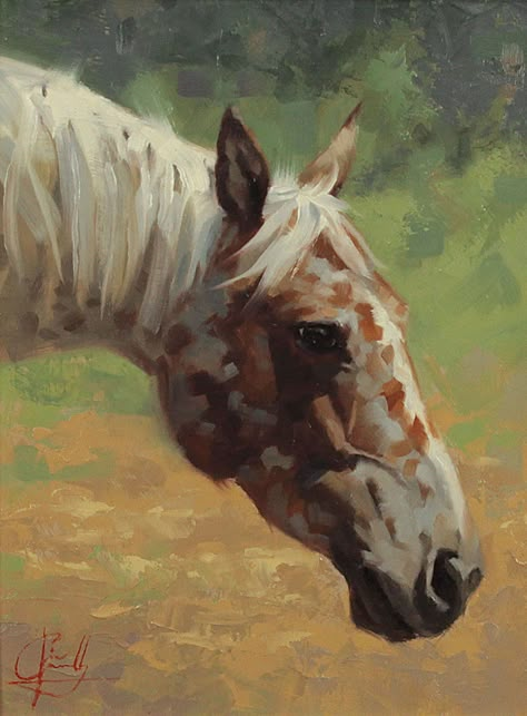 Horse Paintings, Western Artwork, Horse Sketch, Western Paintings, Western Artist, Equestrian Art, Appaloosa Horses, Horse Portrait, Horse Drawings