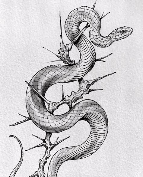 Blackwork Flash, Minimal Tattoo Designs, Minimal Tattoo Ideas, Snake Illustration, Occult Tattoo, Snake Drawing, Branch Tattoo, Snake Tattoo Design, Japanese Drawings