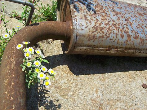 Man Vs Nature Art, Man Made Environment, Man Vs Nature, Environment Photography, Motion Images, Natural Man, Urban Nature, Man Photography, Man Vs