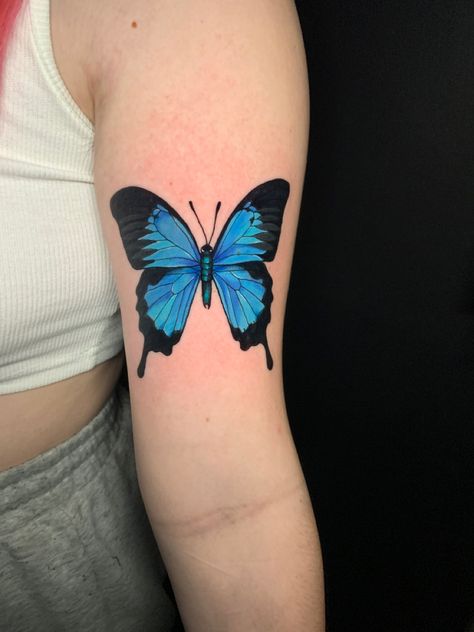 tattoo by Gordon Canada at Soul Collective in OKC Emperor Butterfly Tattoo, Emperor Butterfly, Butterfly Tattoo, Watercolor Tattoo, Tattoo Ideas, Tattoos, Blue