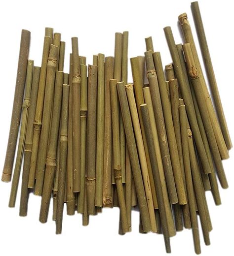 Amazon.com: Bamboo Sticks 5 Inch Long 0.1-0.2 Inch in Diameter for DIY Crafts Photo Props Craft Supplies for Crafts (100pcs): Arts, Crafts & Sewing Kids Yard, Wholesale Craft Supplies, Storing Craft Supplies, Wood Logs, Wood Sticks, Craft Supply, Arts And Crafts Supplies, Photo Craft, Craft Stick Crafts