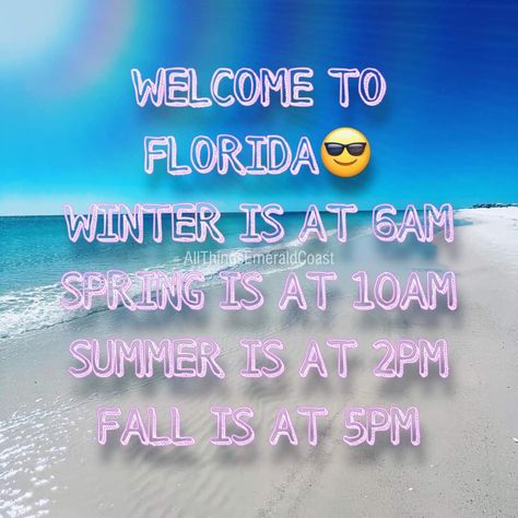 Florida Weather Humor, Weather Humor, Florida Funny, Florida Weather, Venice Florida, State Of Florida, Sunshine State, Florida Keys, My Happy Place