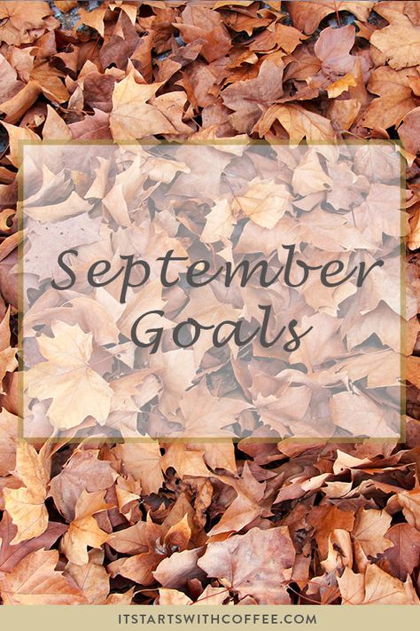 September Goals August Goals, September Goals, Goals List, My September, Goal List, Coffee Blog, Wellness Travel, Planner Inspiration, Blogging Advice