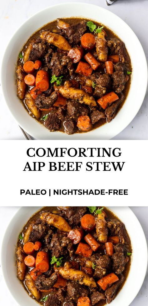 Aip Beef Chuck Roast, Aip Dinner Recipes Beef, Aip Beef Stew Instant Pot, Aip Beef Stew Crockpot, Aip Beef Stir Fry, Wahls Paleo Plus Recipes, Paleo Recipes For Families, Paleo Stew Meat Recipes, Aip Ground Beef Recipes Autoimmune Paleo