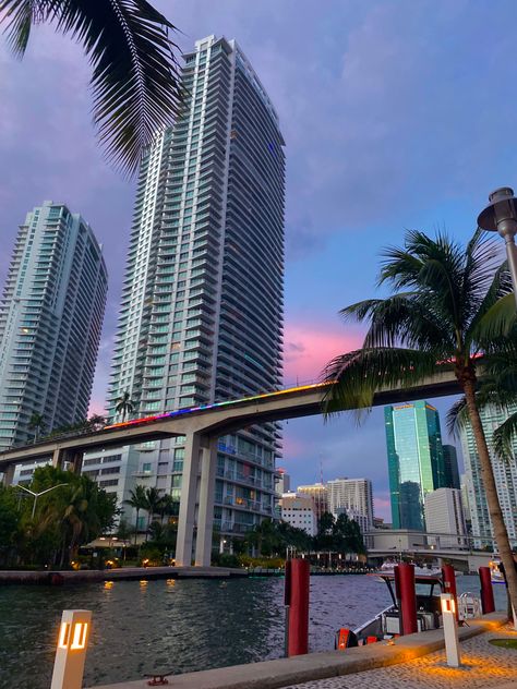 Miami Brickell Apartment, Miami Core Aesthetic, Miami Brickell Aesthetic, Miami Ig Pics, Miami City Aesthetic, Brickell Aesthetic, Brickell Miami Apartments, Miami Summer Aesthetic, Miami Apartment Aesthetic