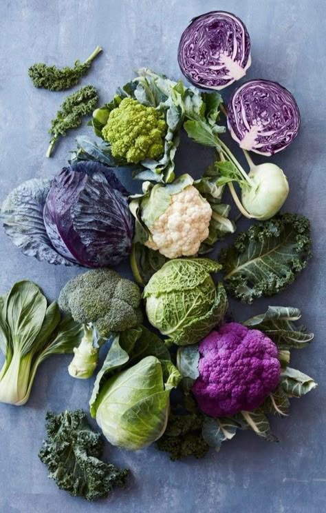 Food Pictures Aesthetic, Vegetables Photography, Food Photography Tutorial, Food Art Photography, Healthy Food Inspiration, Dinner Party Menu, Winter Vegetables, Food Club, Strange Photos