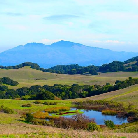 Mt. Diablo California California Landscape Photography, Farm Scene Painting, Danville California, California Photos, California Landscape, Walnut Creek, East Bay, Landscape Illustration, Landscape Pictures