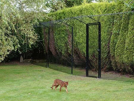 Garden Enclosure, Diy Cat Enclosure, Katt Diy, Cat Gate, Kat Diy, Chat Diy, Cat Enclosures, Cat Fence, Cat Patio