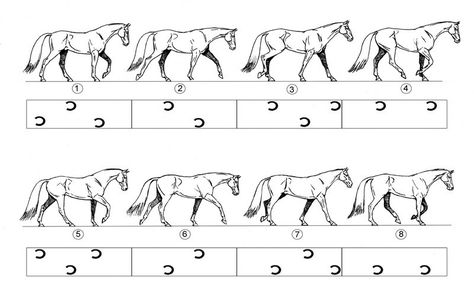 Horse Walking, Walking Animation, Principles Of Animation, Horse Animation, Cool Calm And Collected, Horse Hoof, Learn Animation, Animal Movement, Hoof Print