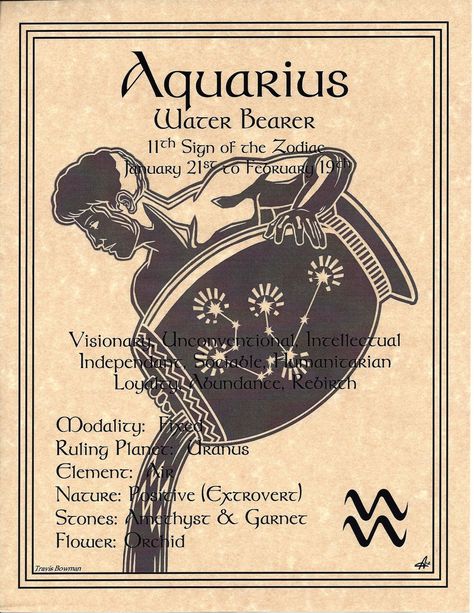 Fish Zodiac Sign, Aquarius Images, The Water Bearer, Pisces Star Sign, Astrology Capricorn, Aquarius Art, Pisces Constellation, Aquarius Tattoo, Astrology Pisces