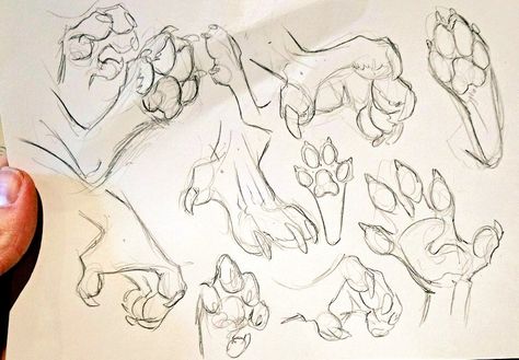 Werewolf paw anthro hands Werewolf Hands Drawing, Neck Fluff Drawing, Dragon Paws Reference, Paw Art Reference, Anthro Paws Reference, Paws Reference Drawing, Anthro Poses Reference, Anthro Hands, Anthro Paws