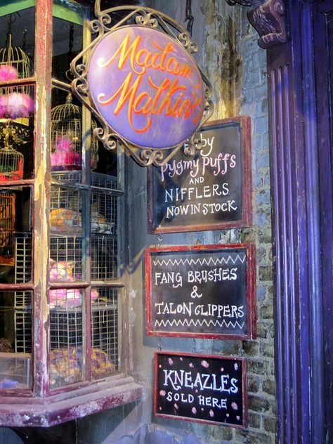 Hogwarts Architecture, Harry Potter Windows, Diagonal Alley, Bookshelf Nook, Madam Malkins, Herbalist Shop, Harry Potter Land, Harry Potter Experience, Slytherin Style