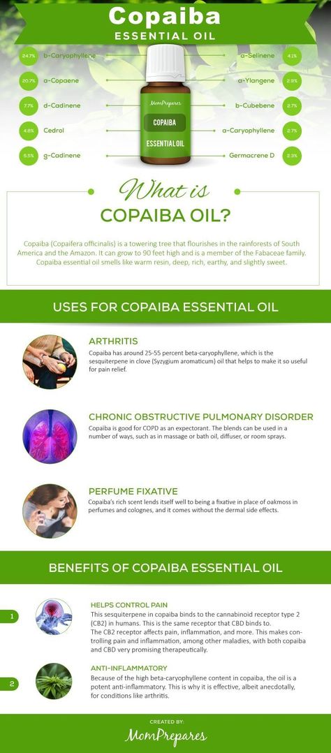 Essential Oils For Breathing, Copaiba Oil, Copaiba Essential Oil, Essential Oils 101, Essential Oils For Pain, Essential Oil Carrier Oils, Young Living Essential Oils Recipes, Essential Oils Guide, Yl Essential Oils