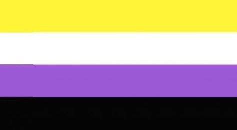 Lgbtq Genders, All The Pride Flags, Lunar Aesthetic, The Pride Flags, Sexuality Flags, Gay Room, Non Binary Flag, Rainbow Flags, Non-binary Flag