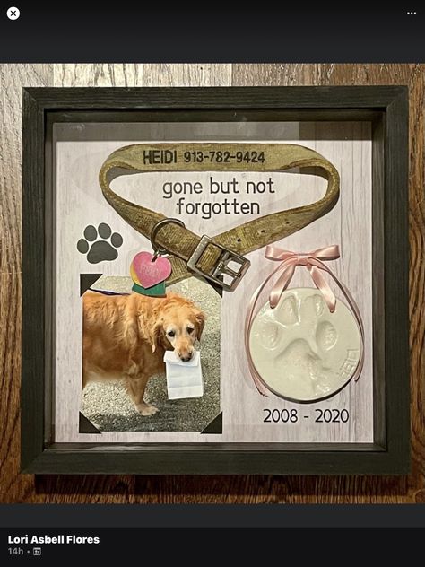 Pet Memorial Shadow Box Dogs, Dog Memorial Shadow Box Ideas, Pet Memorial Ideas Dogs, Emma Approved, Dog Paw Art, Pet Memorial Picture Frame, Dog Shadow Box, Shadow Box Memory, Paw Art