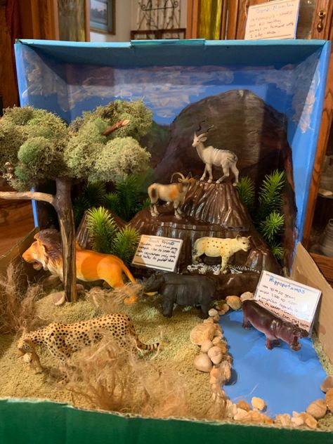 Savanna Diorama, Landforms Project, Ecosystems Diorama, Diaroma Ideas, Savanna Biome, Habitat Project, Science Exhibition Projects, Biomes Project, Diorama Kids