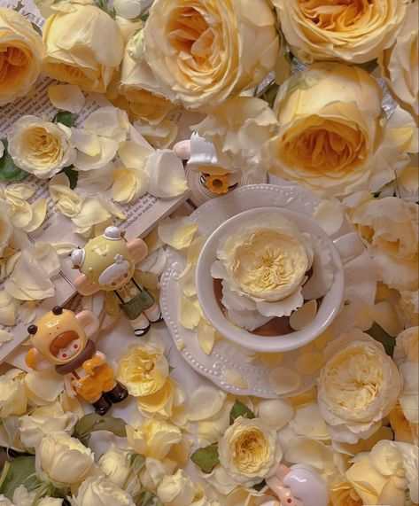 Yellow Roses Aesthetic, Astetic Pictures, Hunter Aesthetic, Ipad Themes, Roses Only, Tea Aesthetic, Sweet Candles, Happy Yellow, Yellow Tea