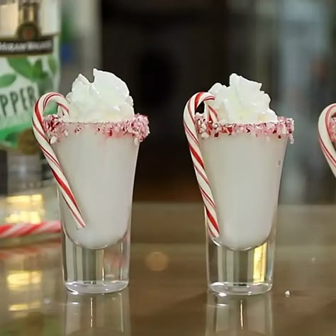 Peppermint Shots Holiday Drinks, Peppermint Shot Glasses, Peppermint Schnapps Shots, Christmas Dessert Drinks, Peppermint Cocktail, Drink Image, Xmas Cocktails, Peppermint Schnapps, Shooter Recipes