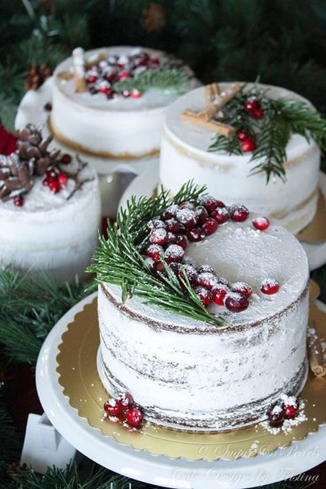 Sugared Cranberries On Cake, Christmas Cake 2022, Holiday Cakes Christmas Decorating, Naked Winter Cake, Festive Cake Ideas, Holiday Cakes Winter, Pretty Christmas Cake, Rustic Christmas Cake, Multi Tier Cake