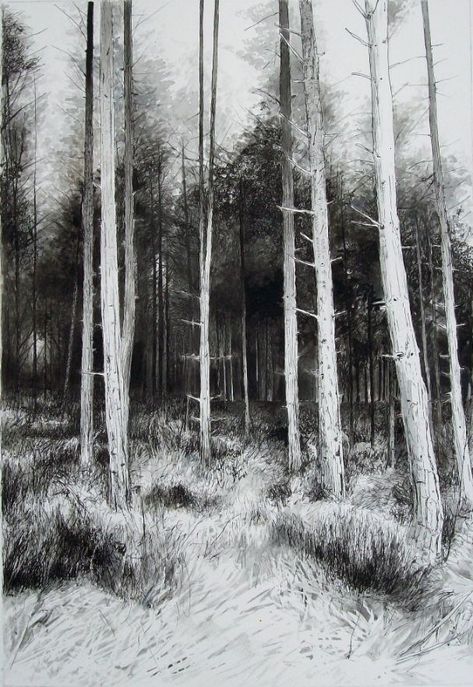 Tree Forest Drawing, Drawing Of A Forest, Pencil Drawings Of Nature, Pencil Drawings Of Love, Forest Sketch, Croquis Drawing, Forest Drawing, Pencil Drawings Of Girls, Pencil Drawings Of Animals