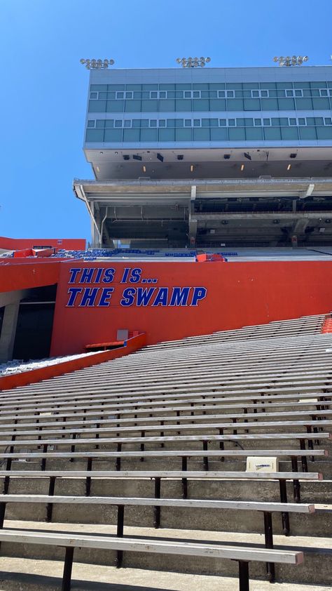 University Of Florida Aesthetic, College Stadium, Uf Football, Romanticizing College, Neonatal Nursing, Florida University, Florida College, Dream University, Florida Interior Design