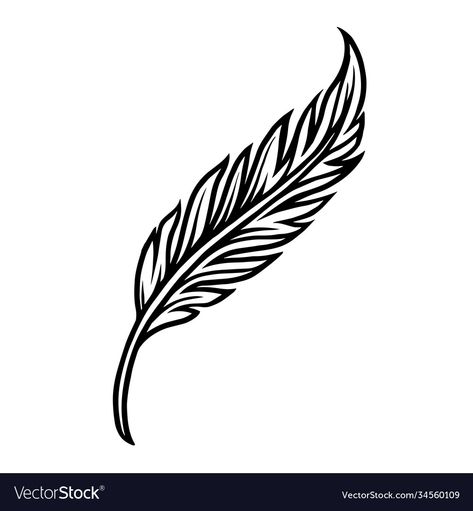 Traditional Feather Tattoo, Simple Feather Tattoo, Feather Tattoo Men, 01 Tattoo, Feather Illustration, Tattoo Salon, Feather Vector, Elements Tattoo, Feather Tattoo Design