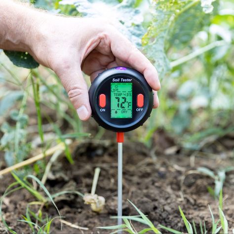 Knowing what's in your dirt is an easy way to green up your thumb, but the test isn't a no-brainer. Here are some techniques to ace your soil test. Soil Test, Planting A Tree, Cucumber Beetles, Simple Garden, Compost Tea, Soil Testing, Plant Science, Master Gardener, Soil Improvement