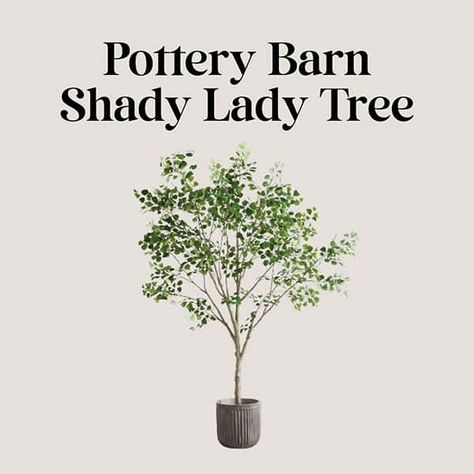 Pottery Barn Shady Lady Olive Tree Faux Shady Lady Tree, Shady Lady Tree, Tree Interior, Faux Olive Tree, Shady Lady, Olive Trees, Olive Tree, Pottery Barn, Interior Designers