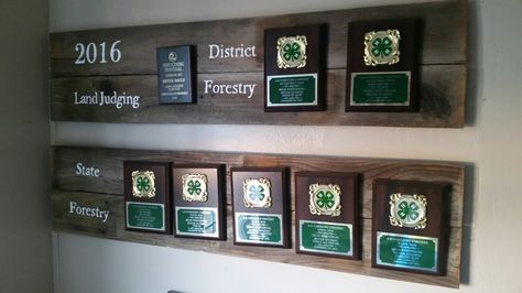 #4h #awards #display #board #kids #accomplishments #plaques #ribbons #forestry #landjudging #forest #award #success Trophy Plaque Display Ideas, Award Plaque Wall Display Ideas, Award Plaque Display Ideas, Plaque Display Ideas, 4h Leader, Wall Display Ideas, Awards Display, Medal Displays, Music Classroom Decor