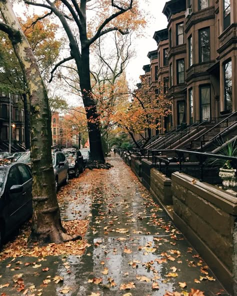 Brooklyn In Fall, Fall In The City Aesthetic, Brooklyn Aesthetic New York, Brooklyn New York Aesthetic, City Fall Aesthetic, Aesthetic Brooklyn, Brooklyn Aesthetic, New York Autumn, Fall Nyc